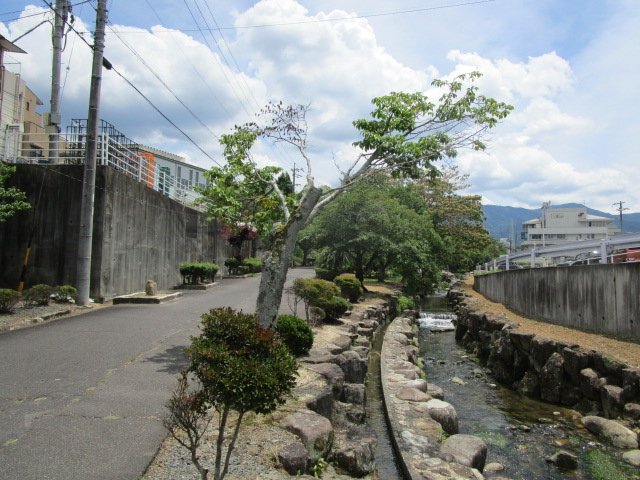 散歩道２