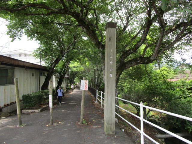 散歩道１１