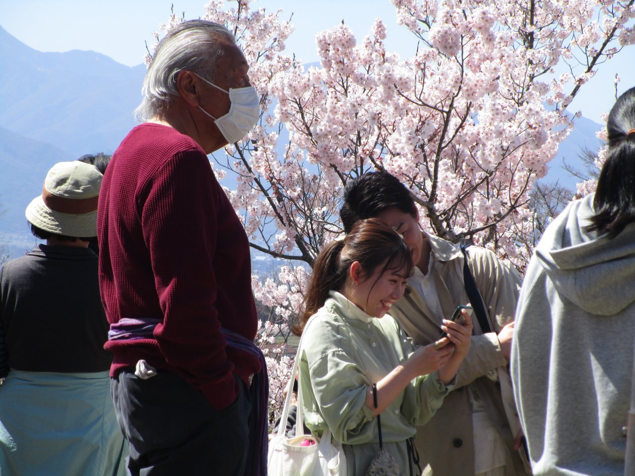 高遠城址46